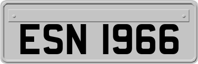 ESN1966