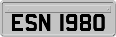 ESN1980