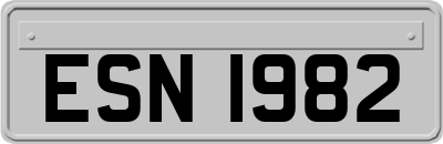 ESN1982