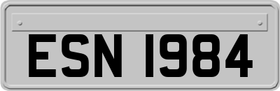 ESN1984
