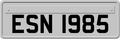 ESN1985