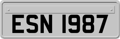 ESN1987