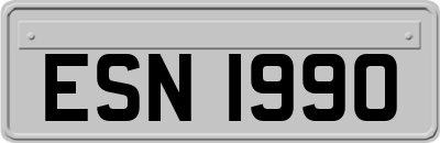 ESN1990