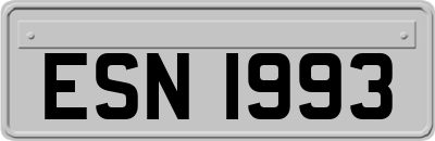 ESN1993