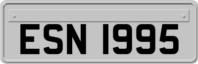 ESN1995