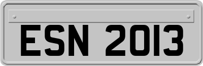 ESN2013
