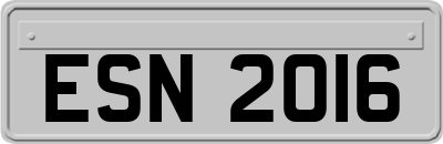 ESN2016