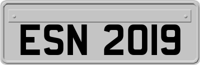 ESN2019