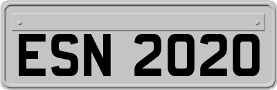ESN2020