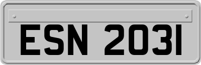 ESN2031