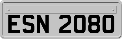 ESN2080