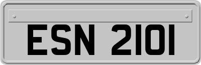 ESN2101