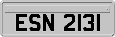 ESN2131