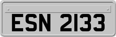 ESN2133