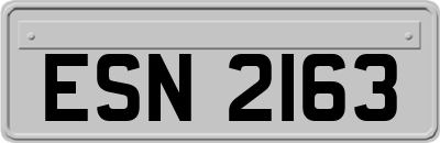 ESN2163