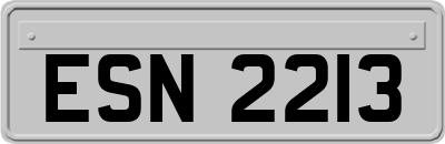 ESN2213