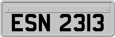 ESN2313