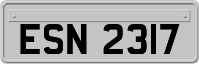 ESN2317