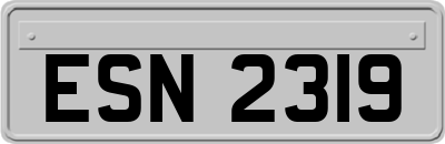 ESN2319