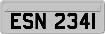 ESN2341