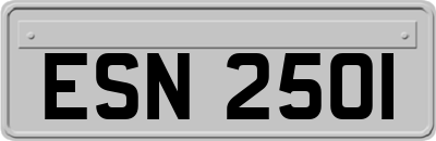 ESN2501
