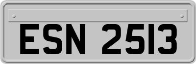 ESN2513