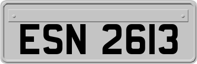 ESN2613