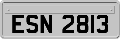 ESN2813