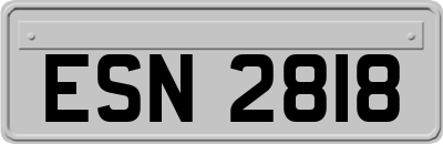 ESN2818