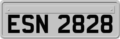 ESN2828
