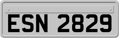 ESN2829