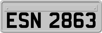 ESN2863