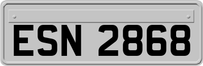 ESN2868