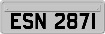 ESN2871