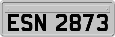 ESN2873