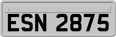 ESN2875