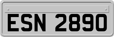 ESN2890
