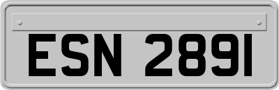ESN2891