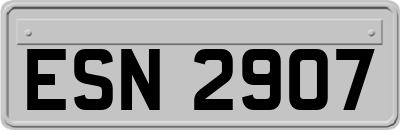 ESN2907