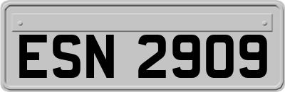ESN2909