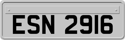 ESN2916