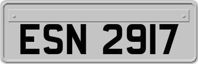 ESN2917