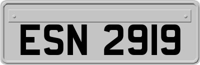 ESN2919