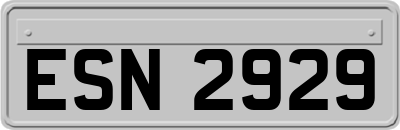 ESN2929