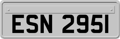 ESN2951