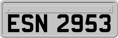 ESN2953