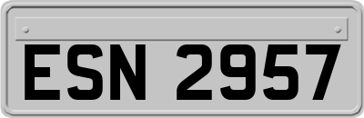 ESN2957