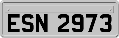 ESN2973