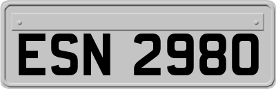 ESN2980