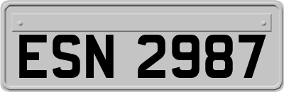ESN2987